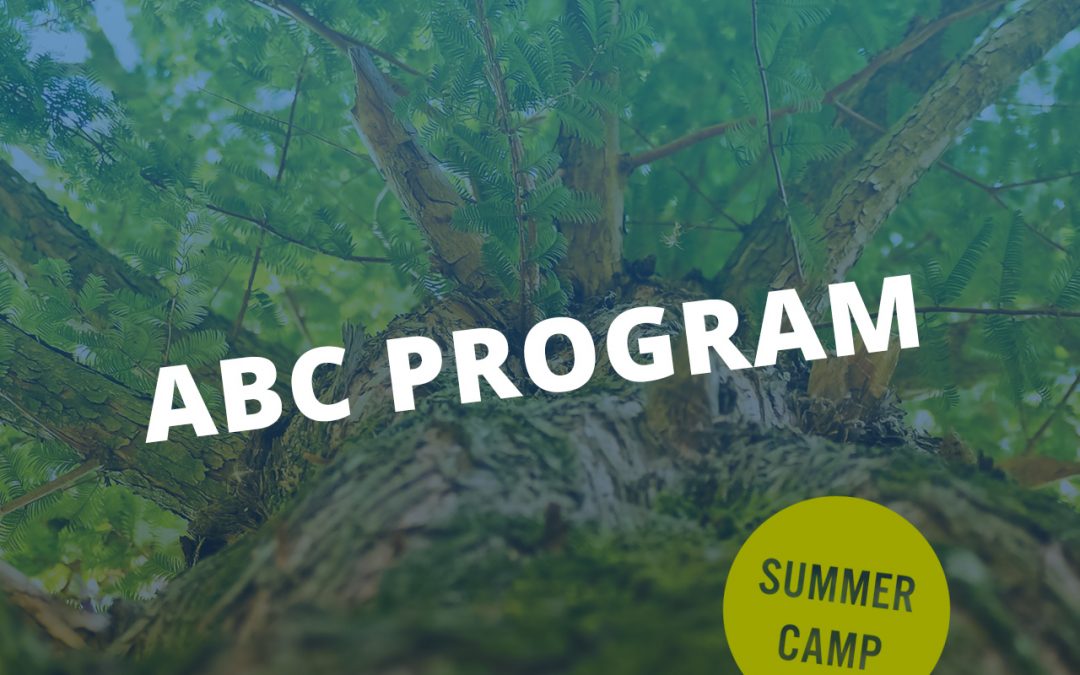 ABC Camp